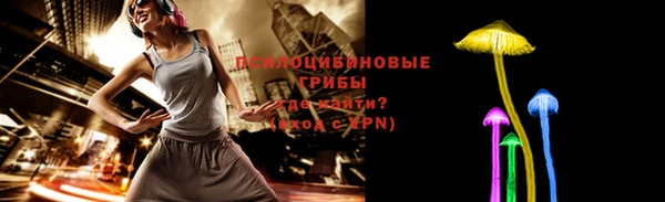 Альфа ПВП Аркадак