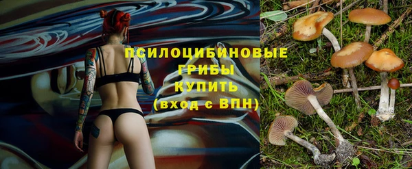 Альфа ПВП Аркадак