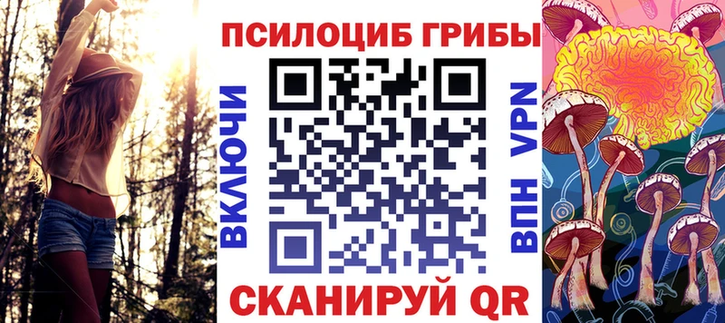 Галлюциногенные грибы прущие грибы  маркетплейс клад  Павловск 